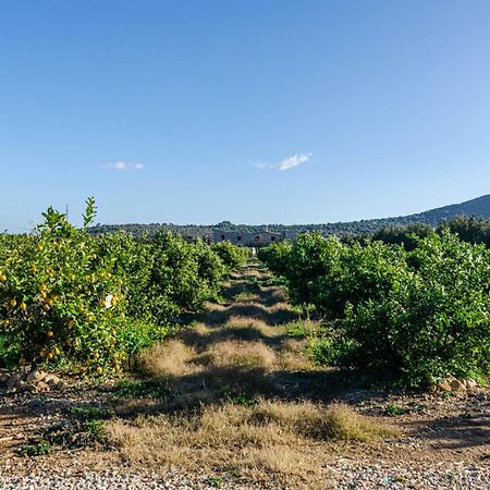 El Limonar De Mallorca - Agroturismo Ballerics Bagian luar foto
